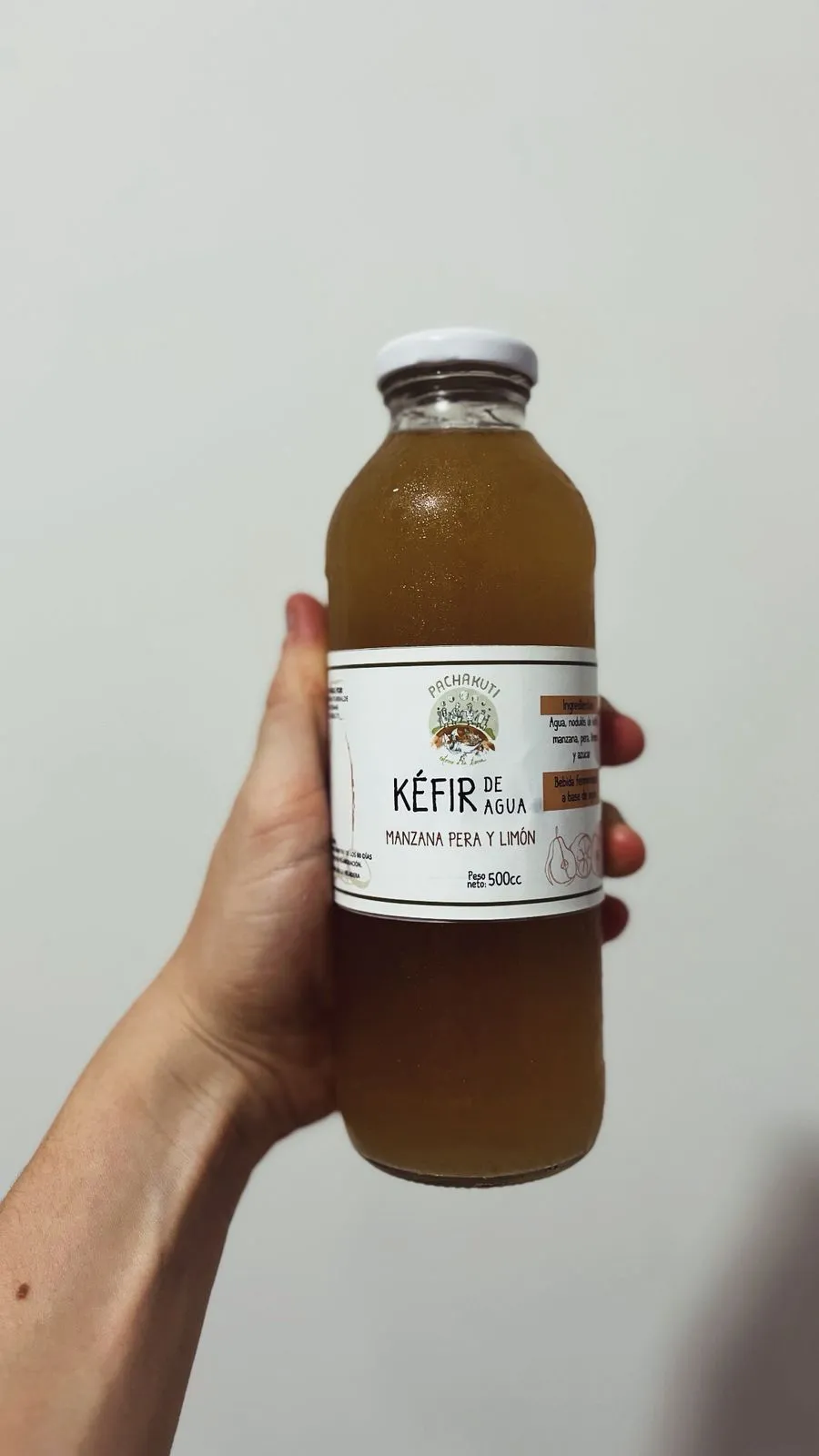 KEFIR DE AGUA